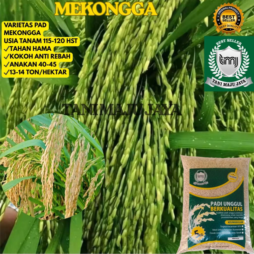 BIBIT PADI BENIH PADI UNGGUL VARIETAS MEKONGGA KEMASAN 5 KG