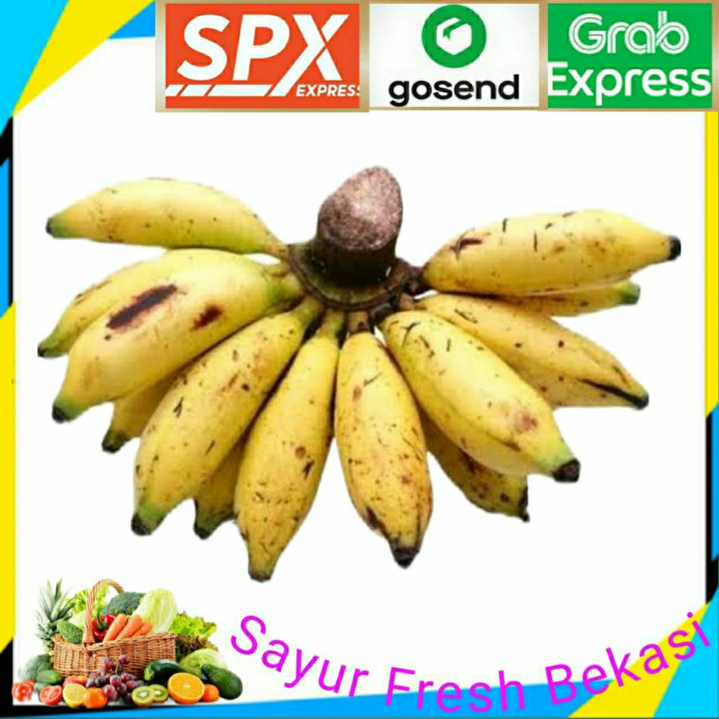 

Pisang Lampung 1 Sisir.