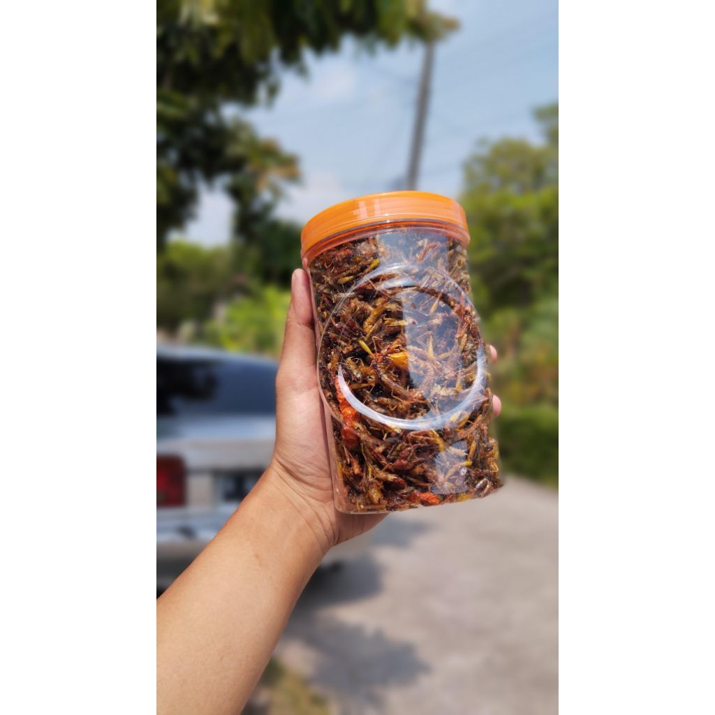 

Belalang Goreng Kecil / Belalang Utis