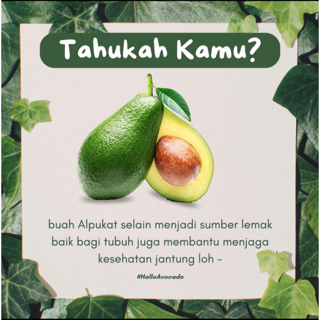 

Alpukat Mentega by Avocado UK