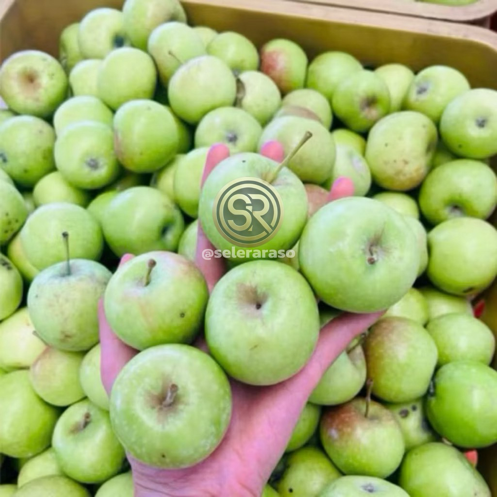 

Buah Apel Hijau Malang