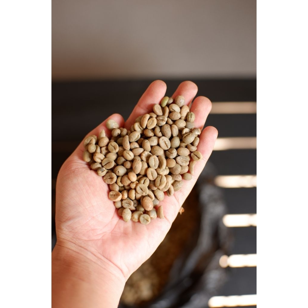 

LEGWIN COFFEE CO - Biji Kopi Green Bean Arabika Malang Origin Lawang