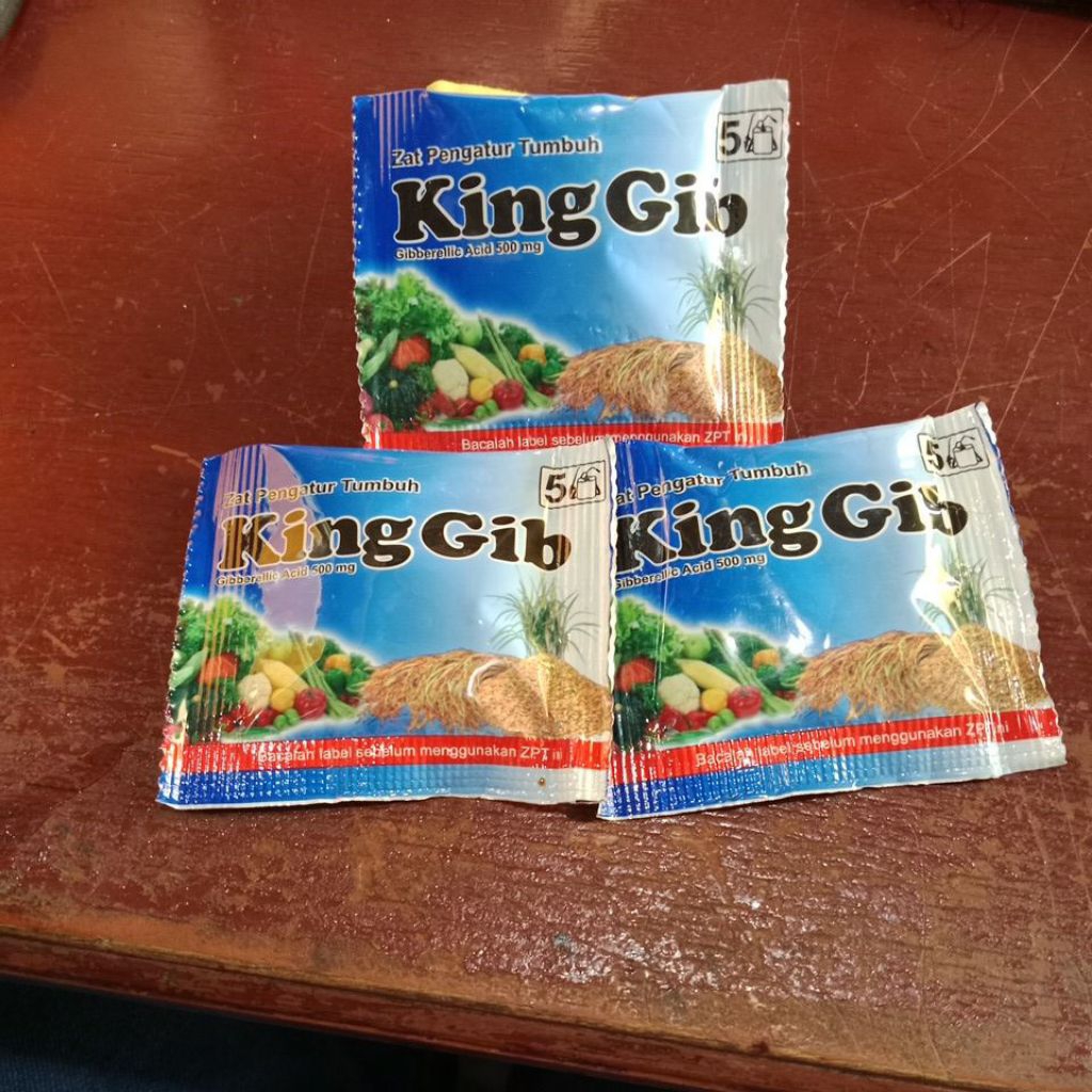 zat pengatur tumbuh king gib