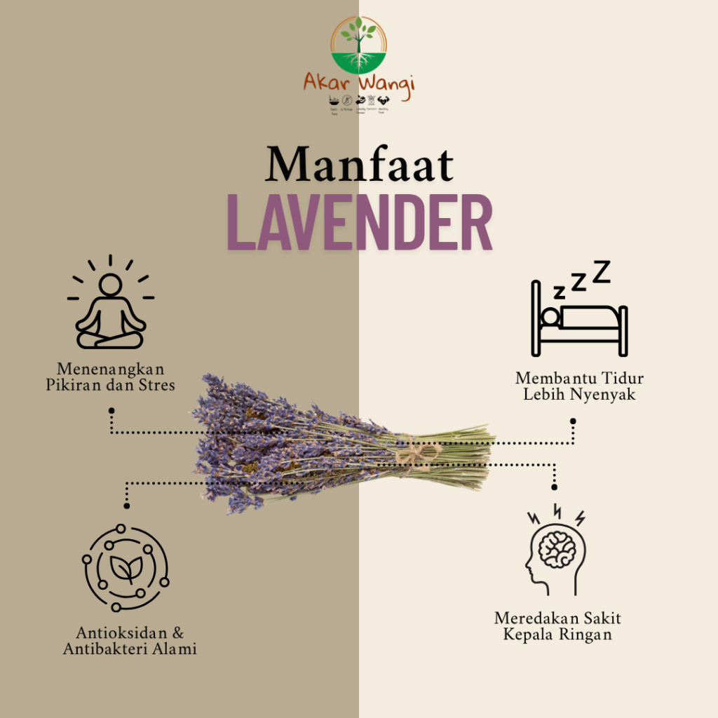 

ANTI LAYU!Akar Wangi Dried Edible Flower Lavender Grade A!Kirim SE-INDONESIA!Garnish Makanan-Minuman