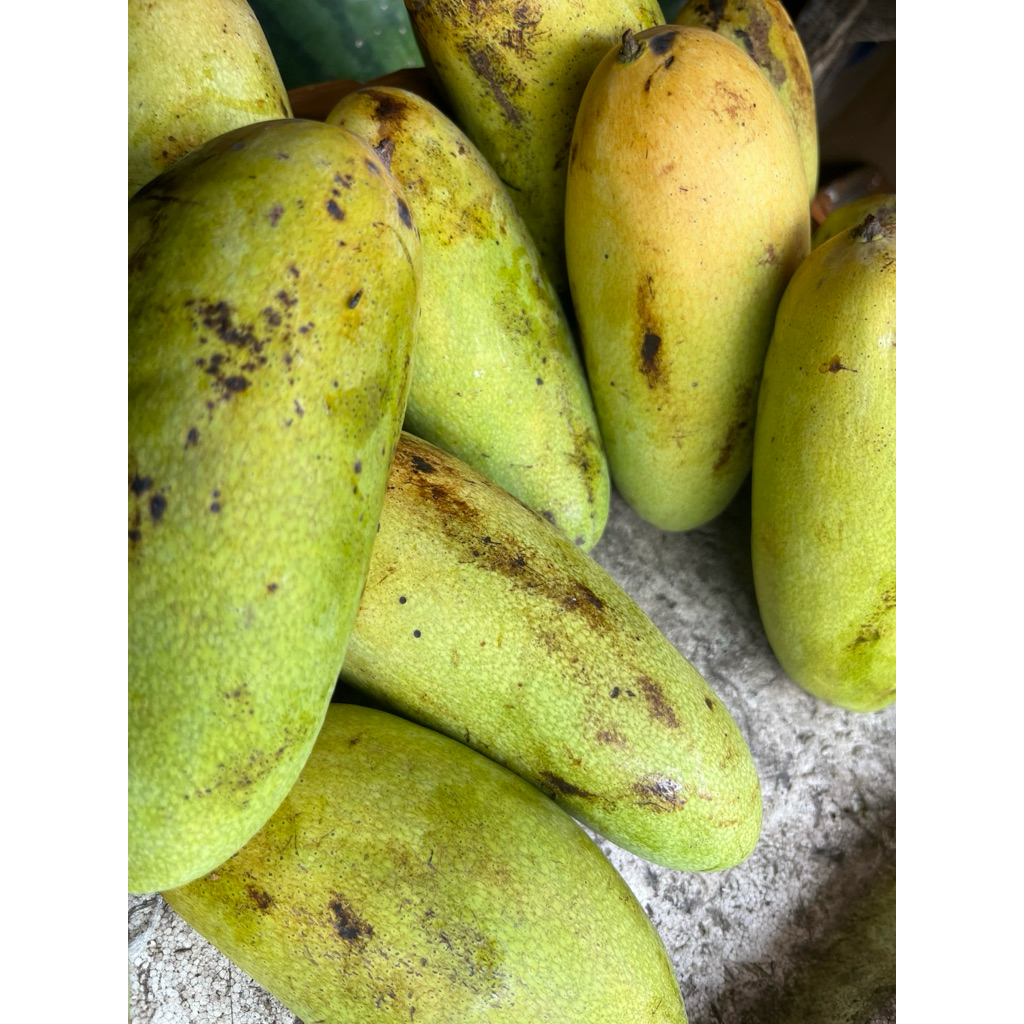 Mangga golek / pasar /buah /pasar buah / pasar online