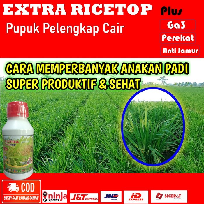 Pupuk pelengkap cair pelebat anakan padi plus anti tikus - NPK Cair EXTRA GREEN RICETOP pupuk organi
