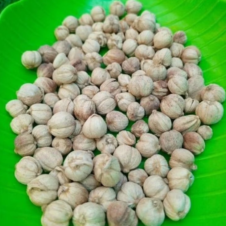 

kapulaga kering 100%murni kapulaga kering berat 250 gram