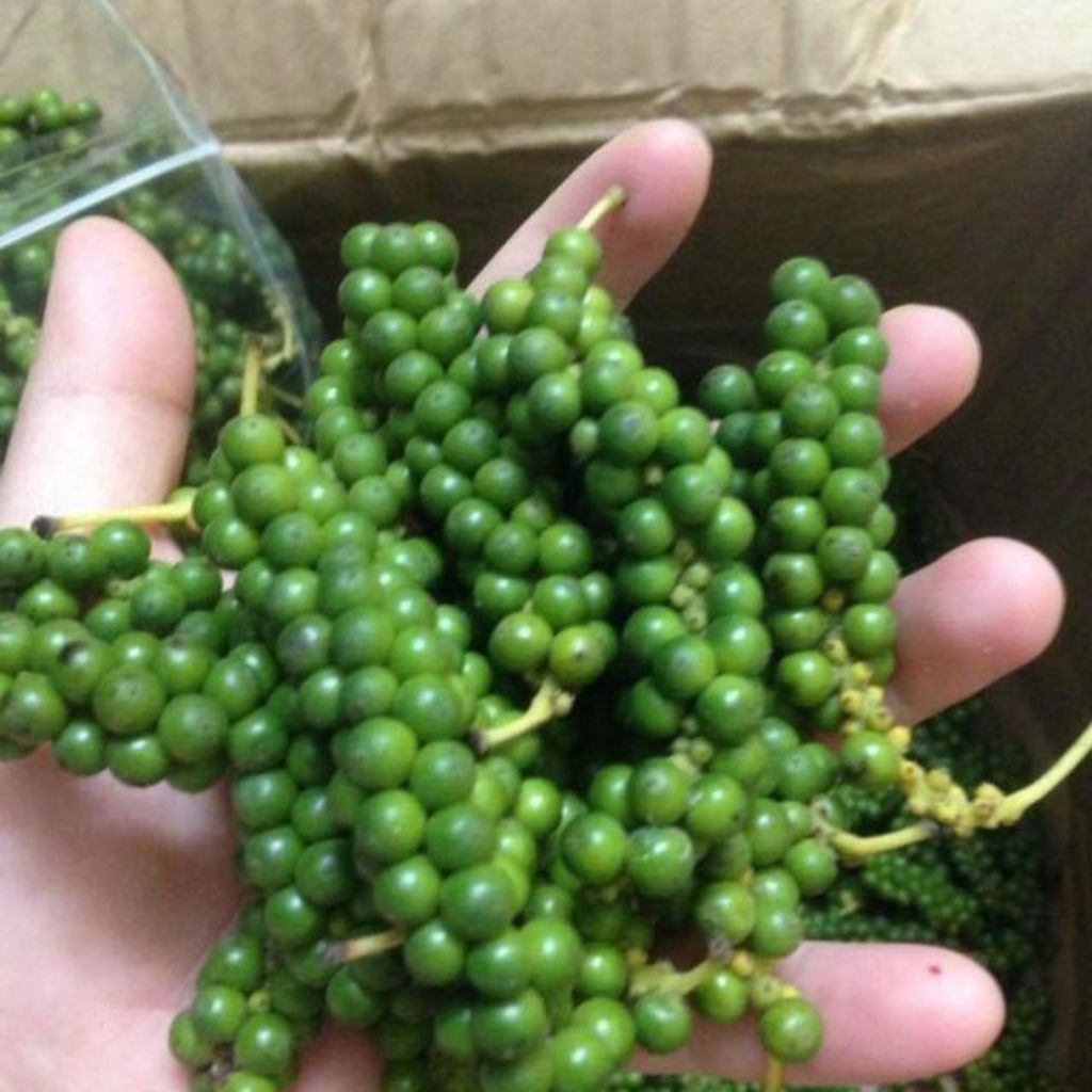 

Merica/Lada Muda 1KG