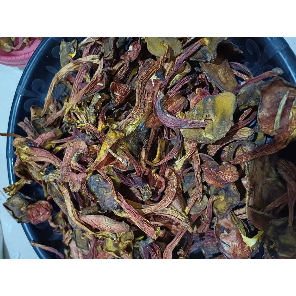 

Jamur Kulat Pelawan 50gram