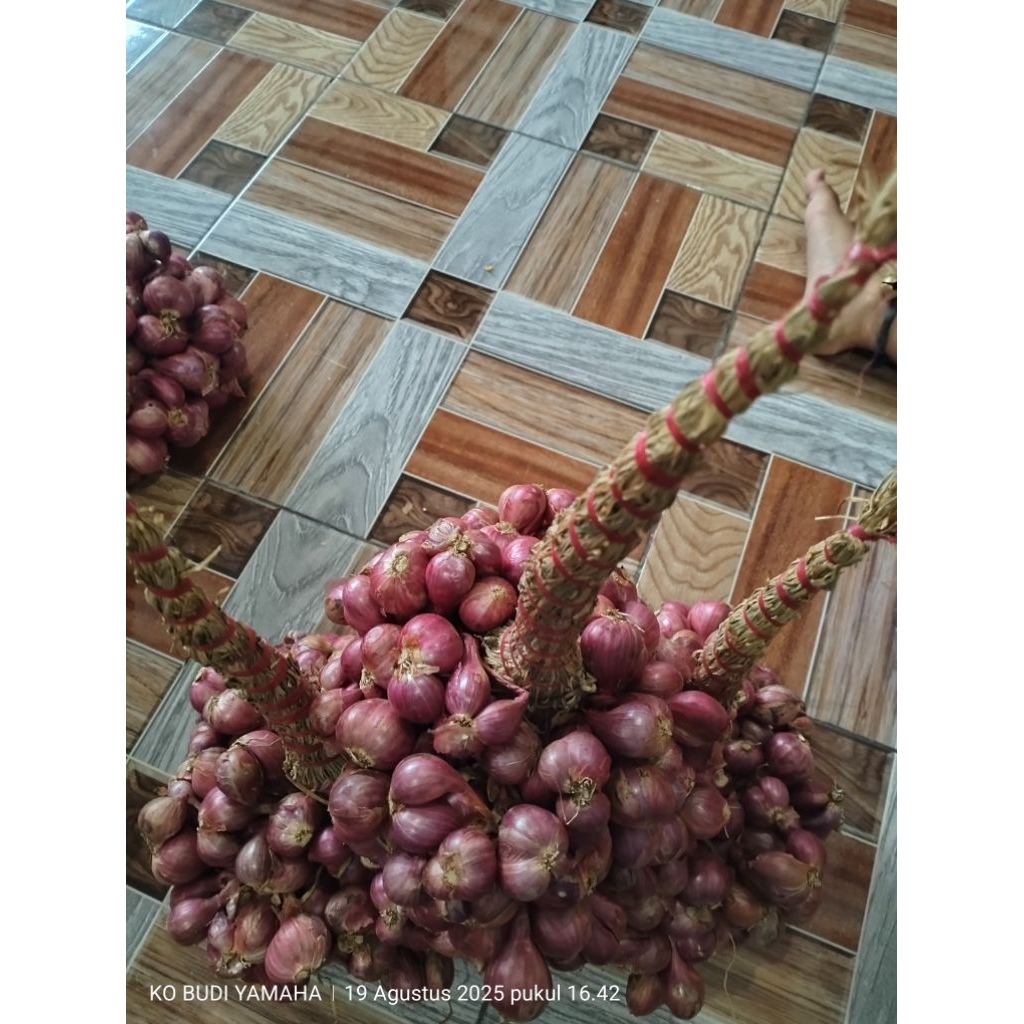 

bawang merah kecil iket daun