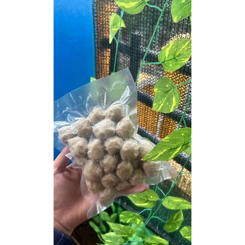 

BAKSO VACUM FROZEN | BAKSO 2F BANJARMASIN