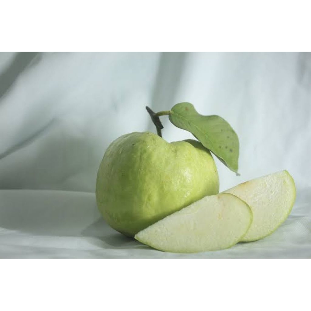 

JAMBU KRISTAL KEBUMEN 1KG