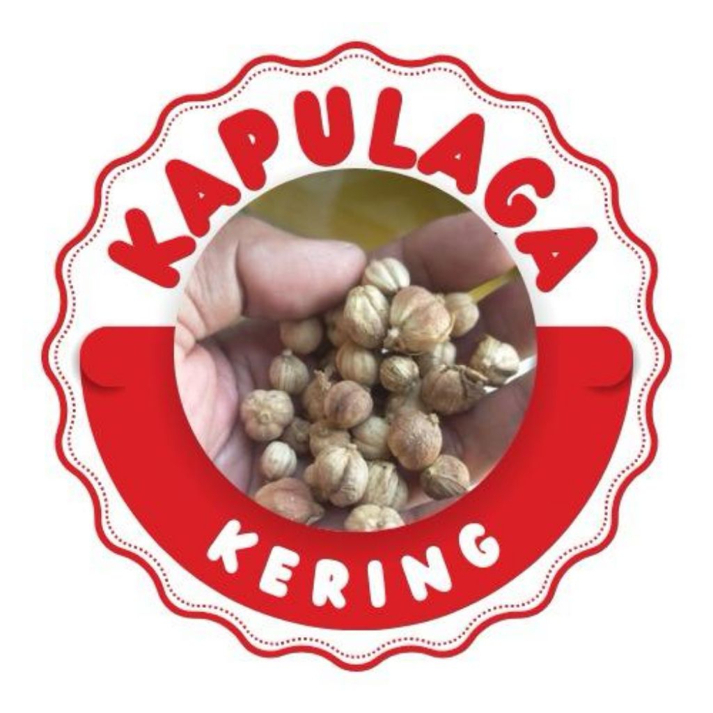 

KAPULAGA KERING REMPAH BERKHASIAT