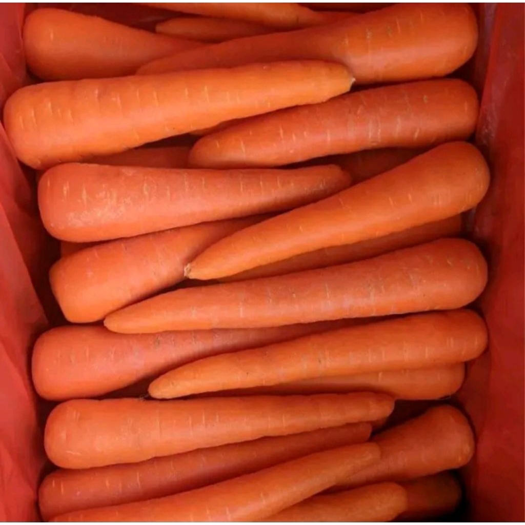 

500gr dan 1kg WORTEL SEGAR