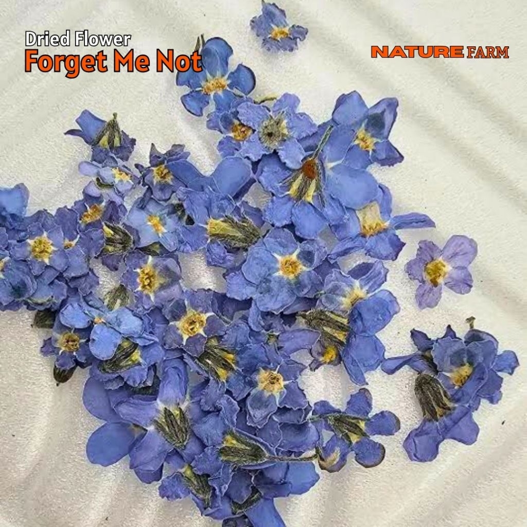 

Nature Farm Premium Forget Me Not Flower Tea - Teh Bunga Forget Me Not
