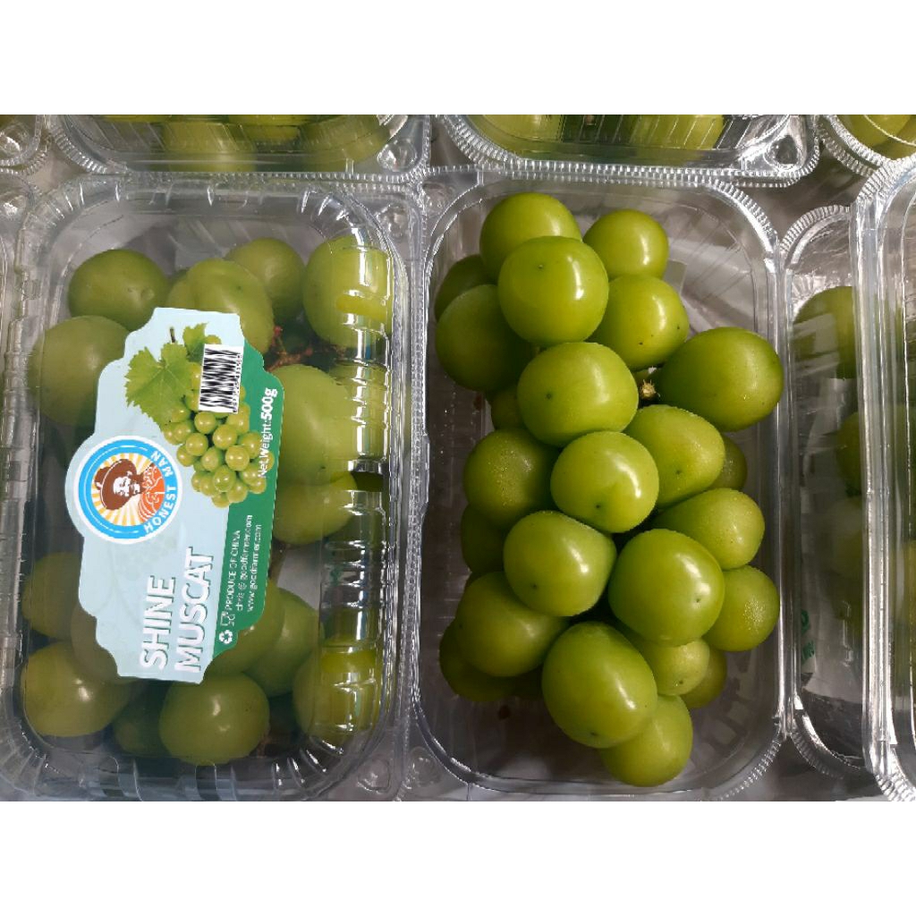 

Buah Anggur Hijau shine Muscat Premium Honestman (250gr)