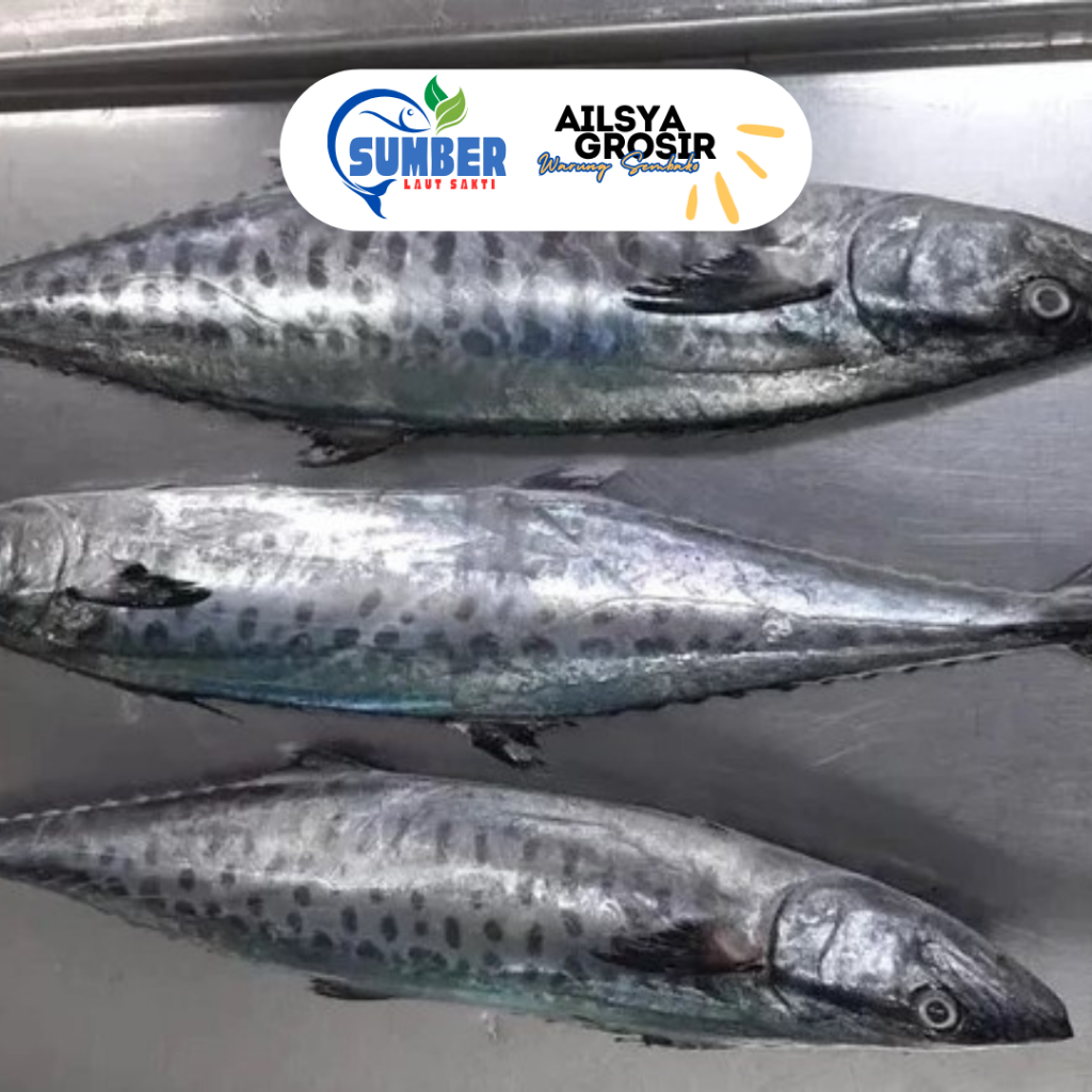 

IKAN TENGGIRI TENGIRI KECIL SEGAR 1 KG