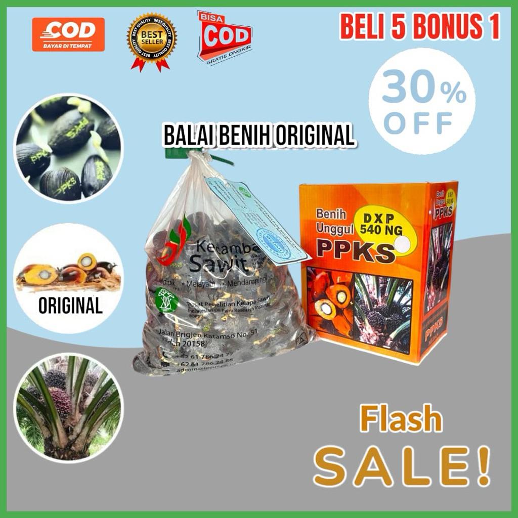 KECAMBAH SAWIT PPKS MEDAN SUPER UNGGUL BERSERTIFIKAT