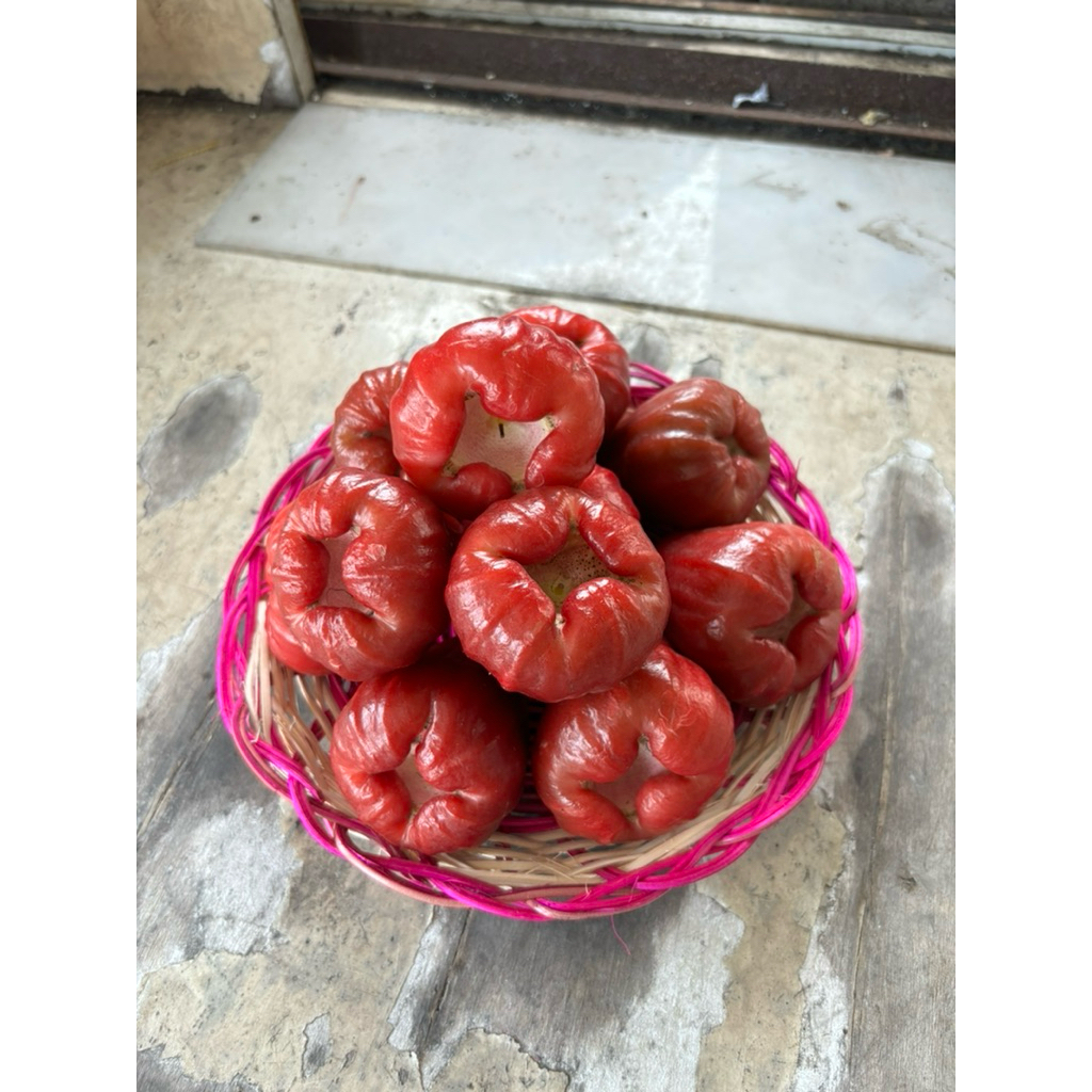 

buahfreshku - jambu citra 500 gram
