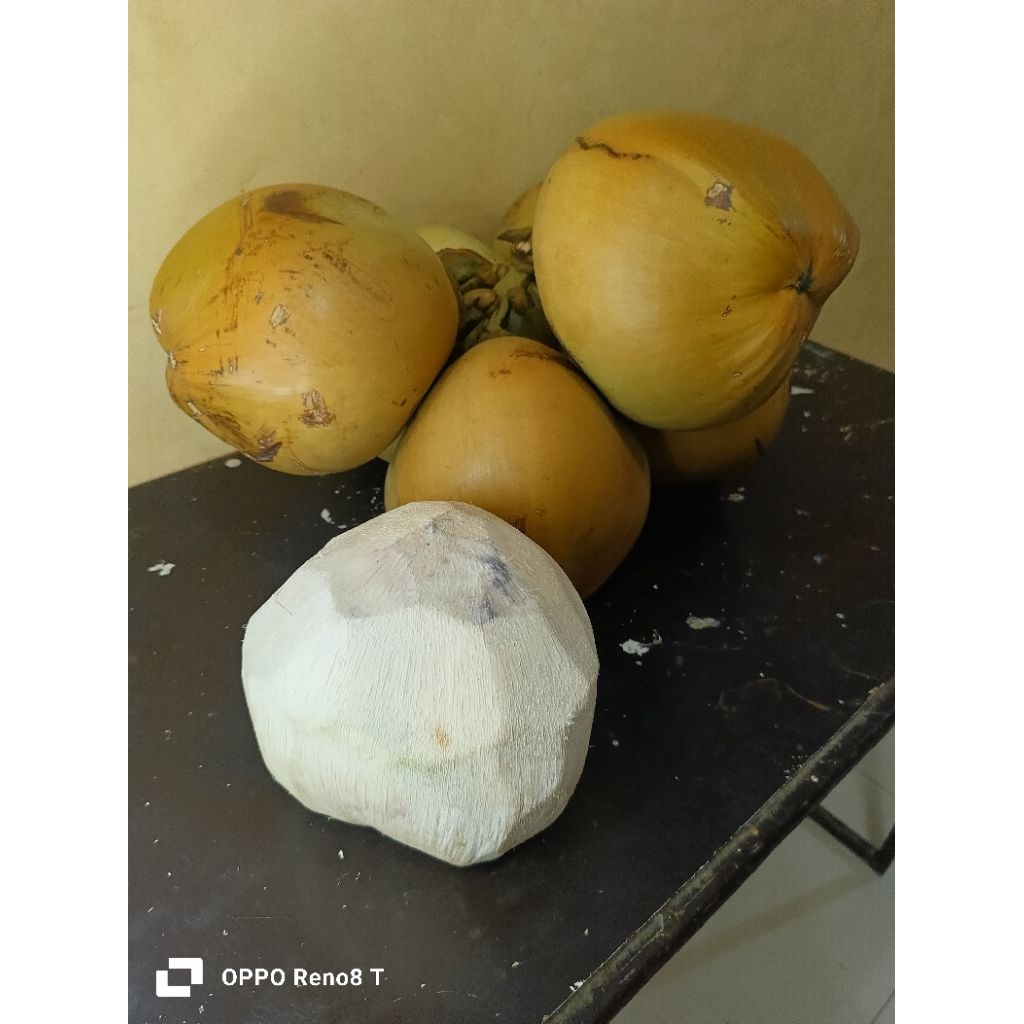 

degan super berkualitas perbutir