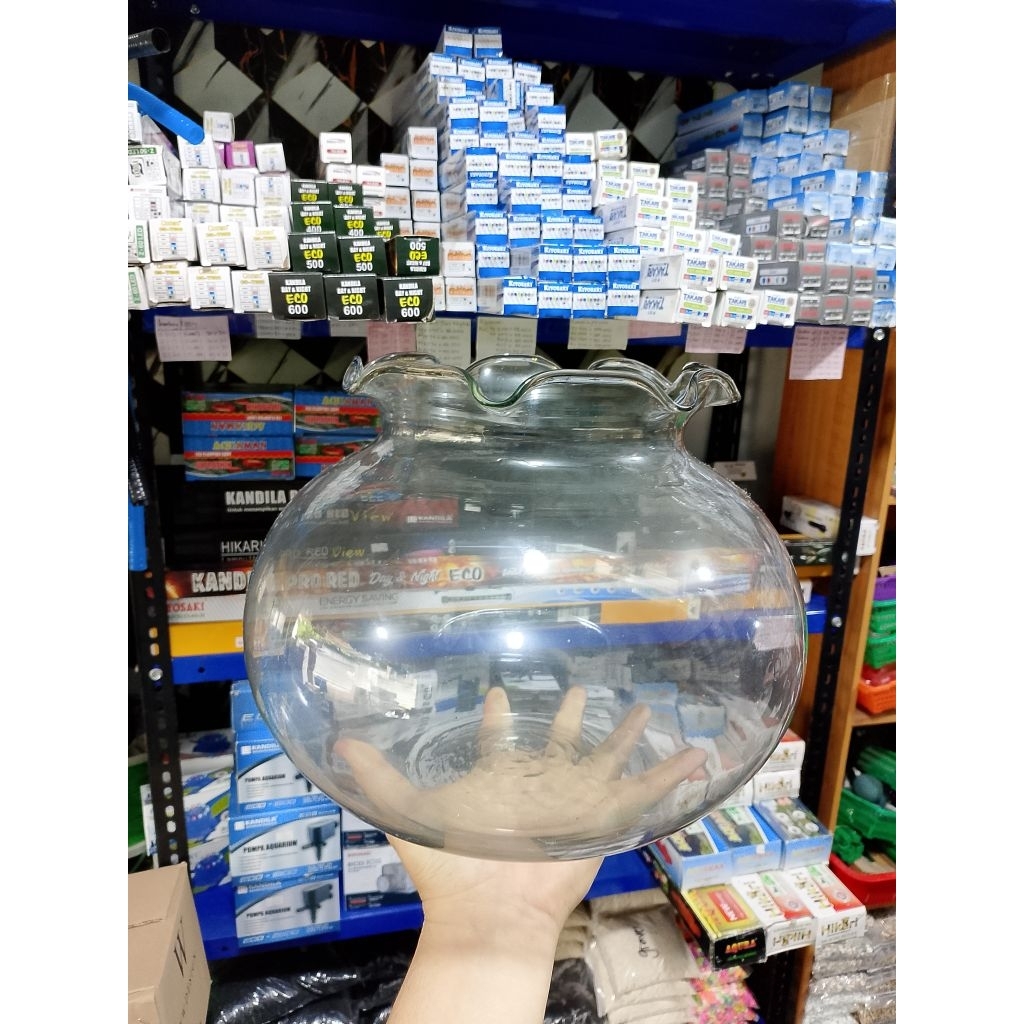 AQUARIUM BULAT KACA  // RECENT L ( 12,3 LITER ) // UNTUK IKAN KECIL, AQUASCAPE