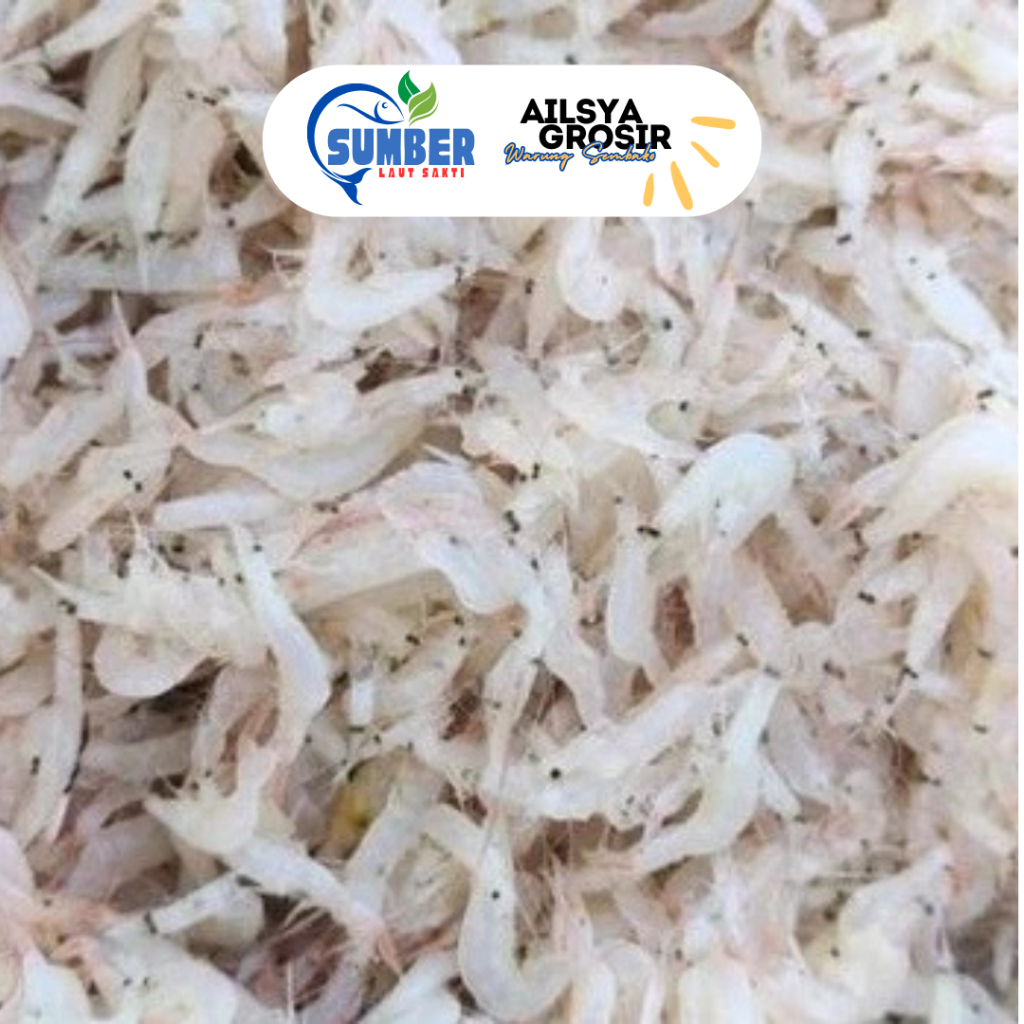 

[BASAH PREMIUM] Baby Udang Reborn Udang Ebi Udang Gragu 1 Kg