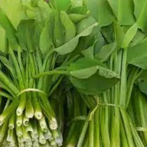 

Daun Genjer- Per Ikat