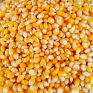 

Biji Jagung Pop Corn 250 gram
