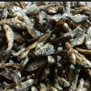 

Ikan Bilih Tawar Padang 250