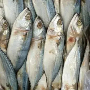 

Ikan asin Pedak Putih 250 Gram