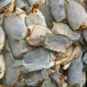 

Ikan asin Sepat Tembakang 100 Gram