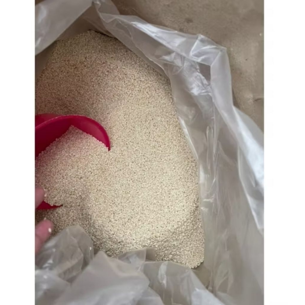 

Wijen putih / white sesame seed 100 Gram