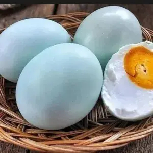 

Telur Asin Matang - Per 1 PCS