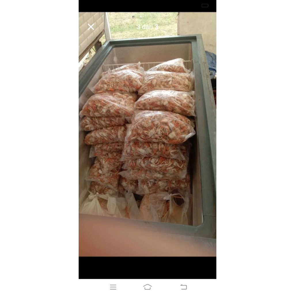 

baby crab 1kg