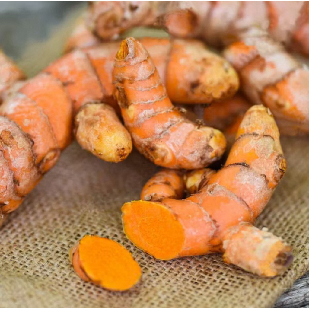 

Kunyit Segar 1KG Sudah Di Bersihkan