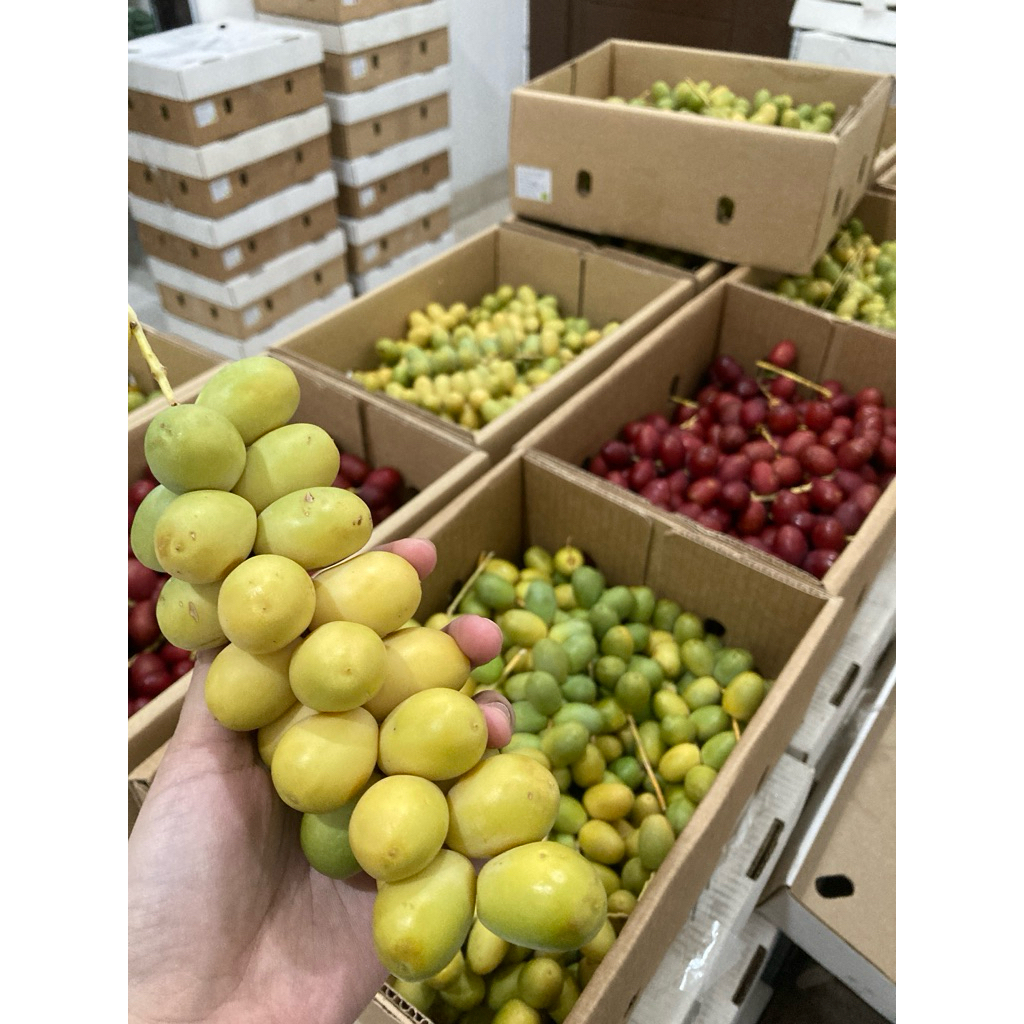 

KURMA MUDA PROMIL/ Kurma Muda Merah/MIX/ Kurma Muda Kuning