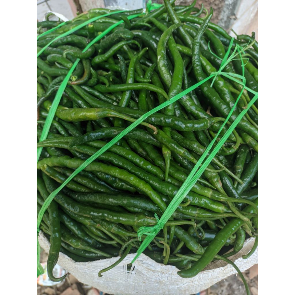 

CABE HIJAU KERITING FRESH MURAH 500gr -1000gr