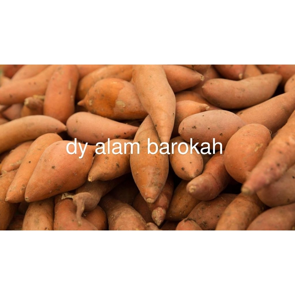

ubi merah isi kuning rambat pulen manis,1kg