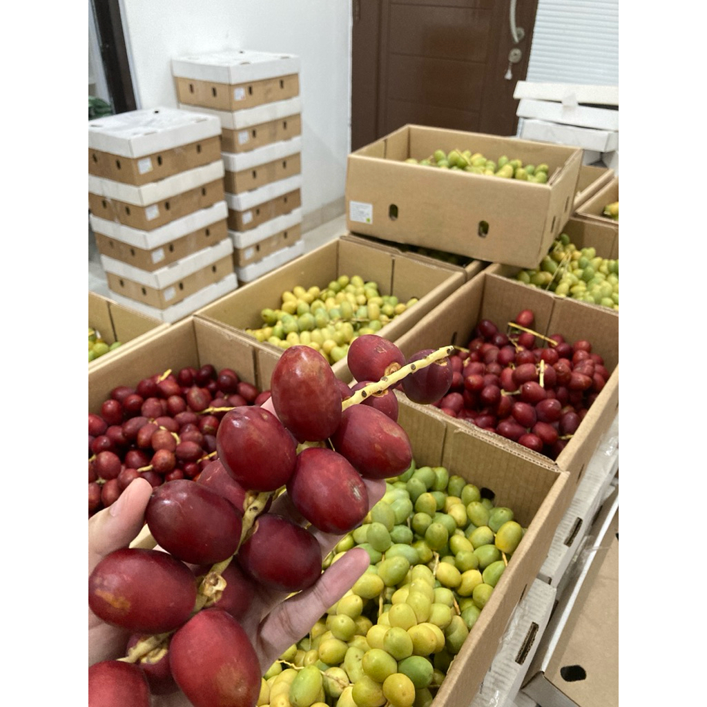 

KURMA MUDA MERAH/ Kurma muda merah promil