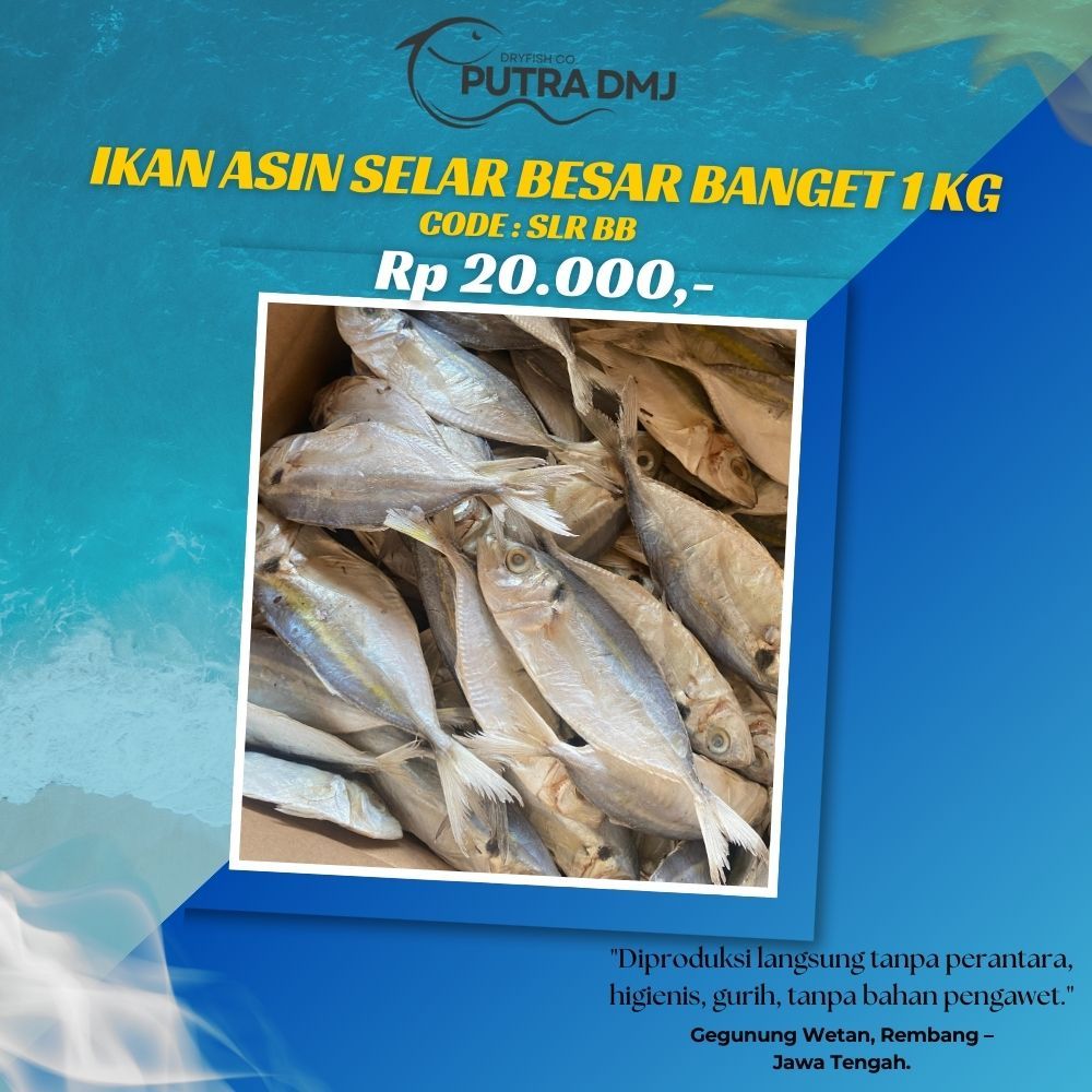 

Ikan Asin Selar Besar Banget 1 Kg – PUTRA DMJ (Asli Rembang, Gurih, Tahan Lama)