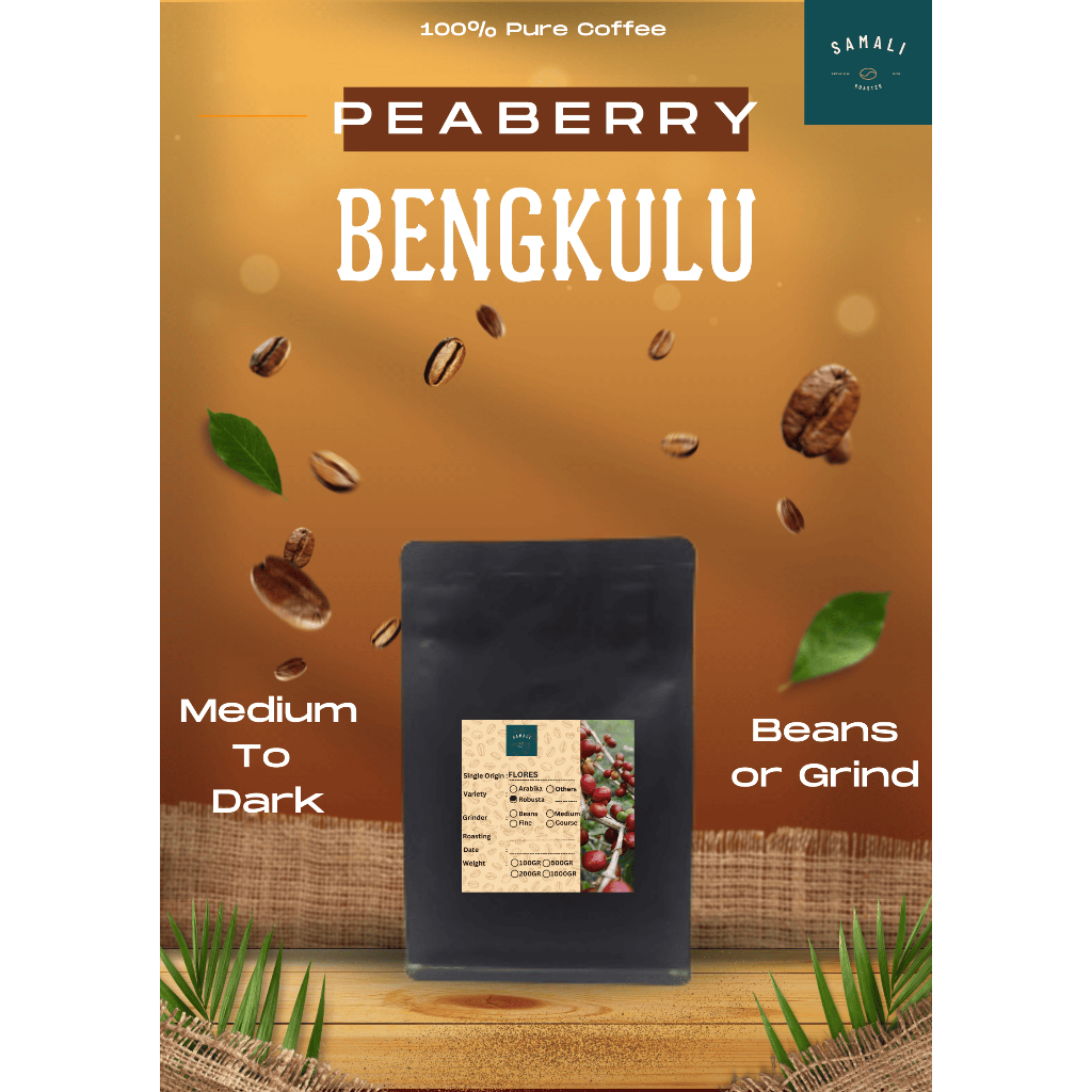 

Kopi Peaberry Bengkulu 100% Pure Biji Kopi - 100 Gram