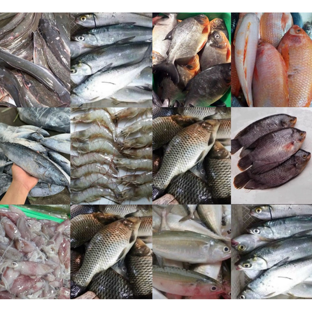 

Ikan Laut dan Air Tawar 500g