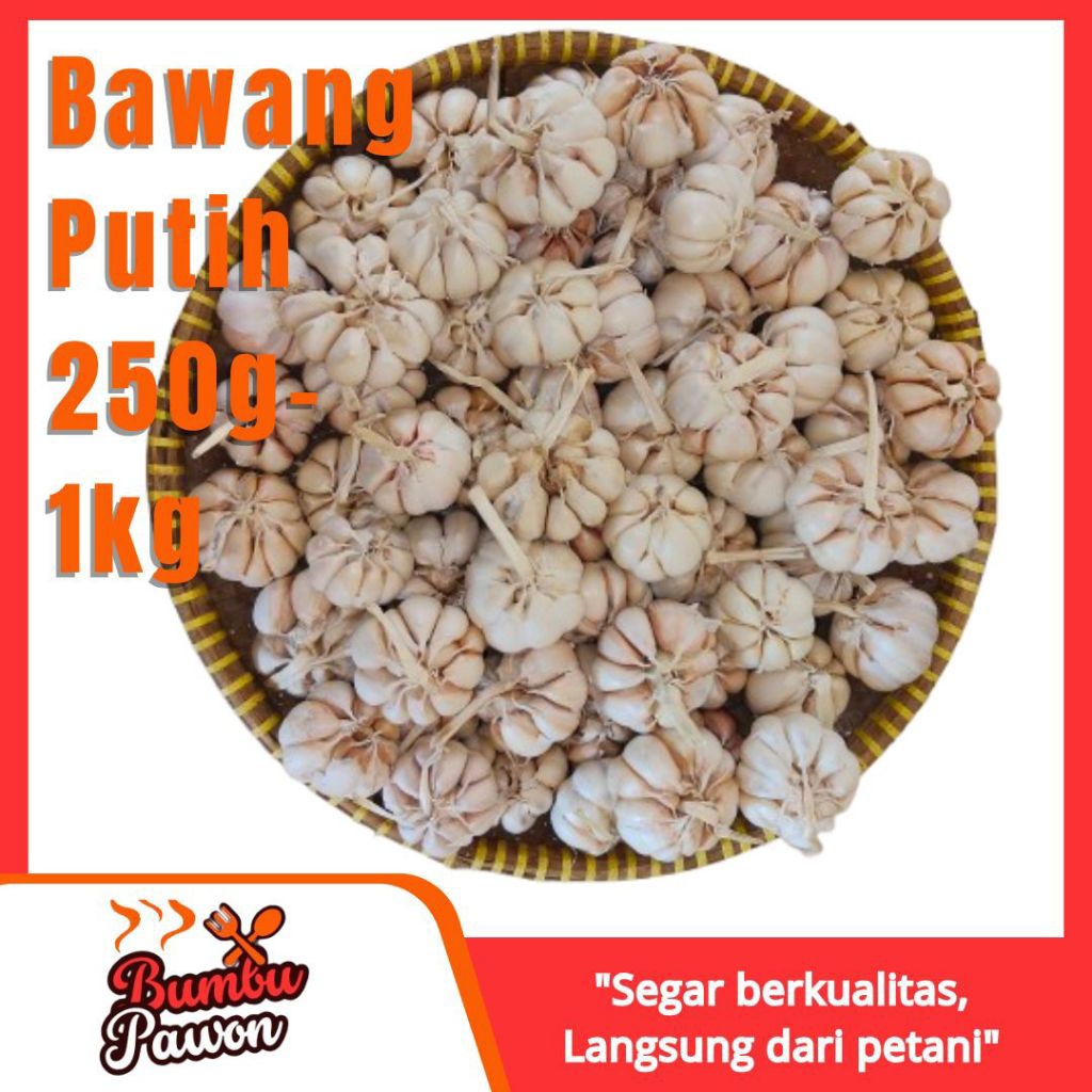 

Bawang Putih Segar Premium | Fresh dari Petani | Kemasan 250g - 1Kg | Untuk Masakan Sehat & Lezat