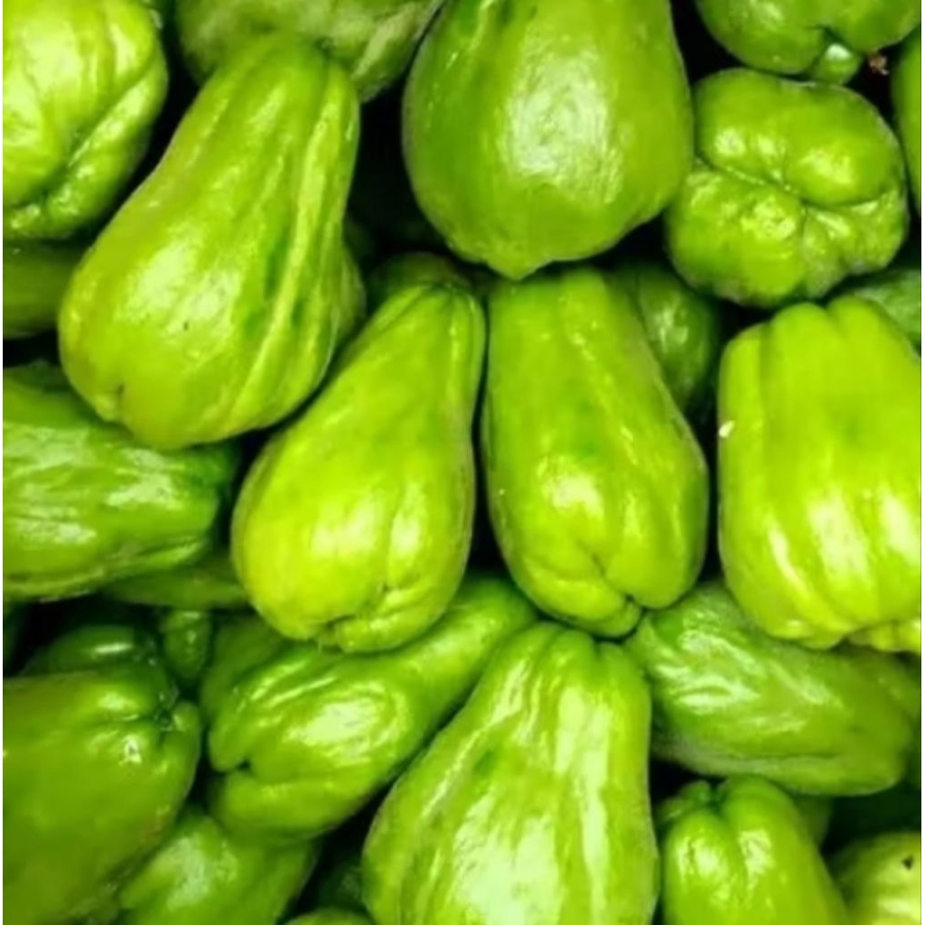 

Labu siam 1 Kg /petik langsung