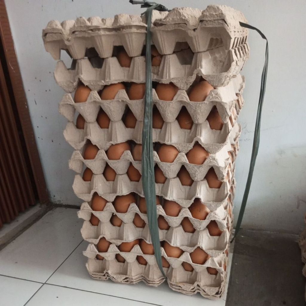 

Telur Ayam 1 Peti/ Telor Ayam 1 Iket