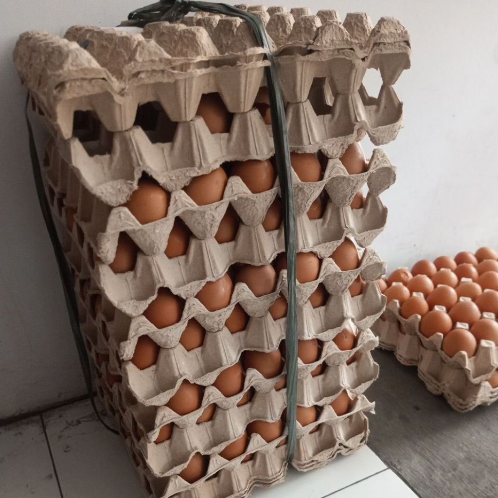

Telur Ayam Super 1 iket / Telor Ayam 1 Peti
