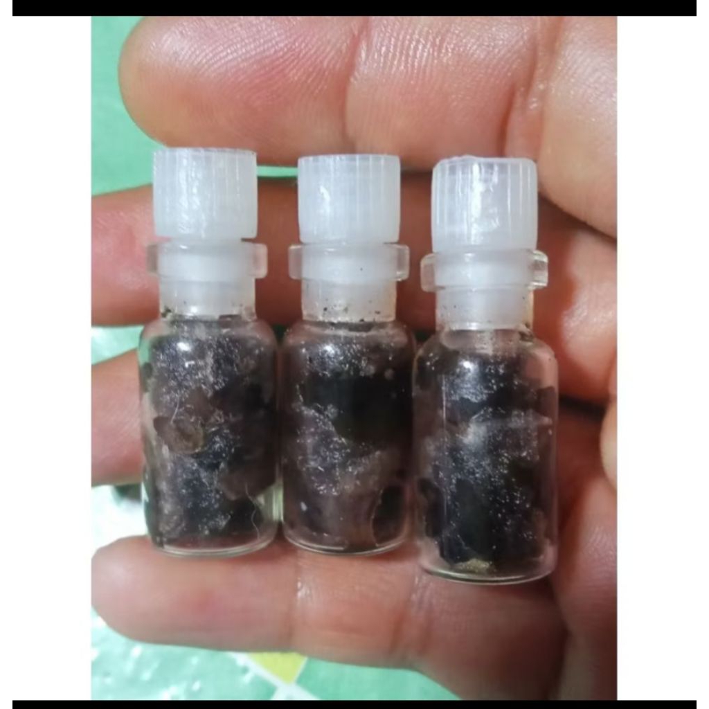 Asesoris untalan besi Qursani