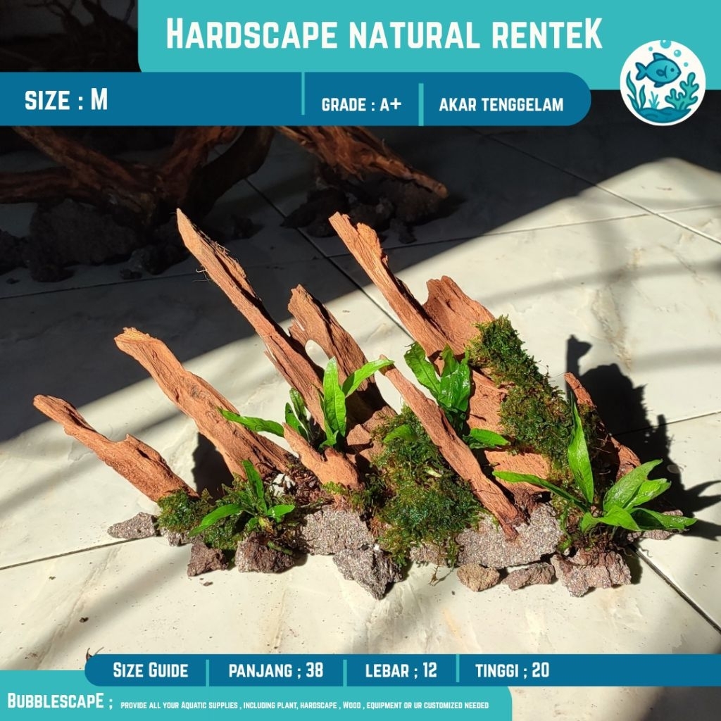 HARDSCAPE RENTEK TEBING (Jungle Cliff) TENGGELAM SIZE M (35-40 cm) |Ornamen Hiasan |Tanaman Aquatic 