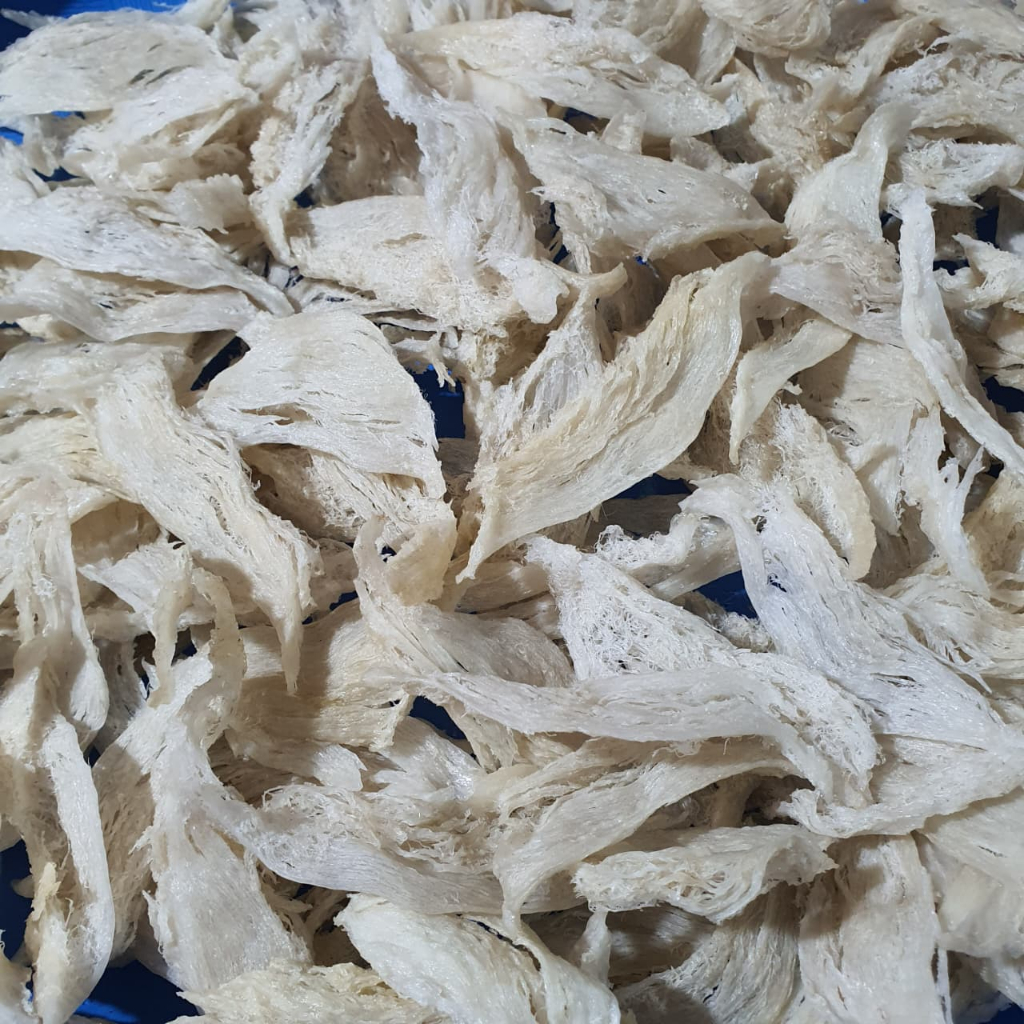 

PROMO KHUSUS PATAHAN SEMI KERING