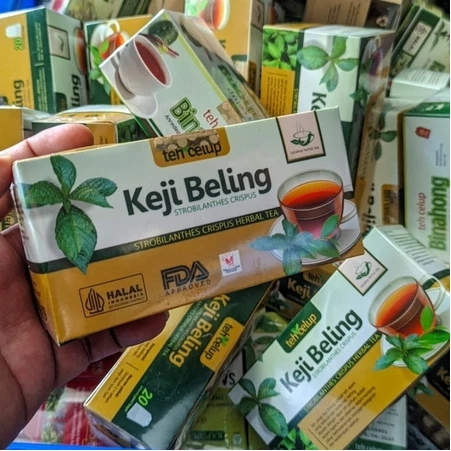 

Obat Herbal Batu Ginjal Melancarkan Batu Urin Kencing Batu Dengan Teh Keji Beling Original